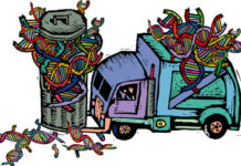 2017 Spring Trash Pickup Spring Trash Pickup