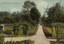 Read The Madison Lewis Woodlands Fowler Garden Rehab Plan Park Scene on an Estate