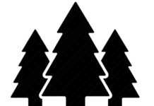 Facility Use Request/Park Permit