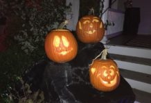 Halloween 2020 Pumpkin Carvings