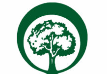 Village of Warwick Named Tree City USA Tree City USA