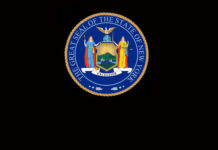 Regional Guidelines for Re-Opening NY NYC-Seal