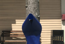 Blue Ribbons!!! Thank You