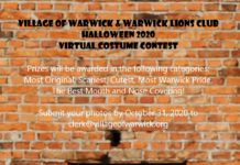 VIRTUAL HALLOWEEN COSTUME CONTEST!!! Virtual Costume Contest