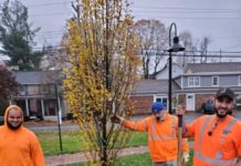 “Trees Are Life” Fall Tree Planting 2020 Fall Tree Planting