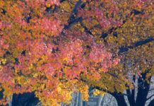 FROM THE MAYOR’S OFFICE: Resilience 9/11 Memorial