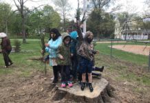 FROM THE MAYOR’S OFFICE: The Village of Trees