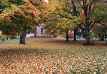 From the Mayor’s Office: A Rainy Day