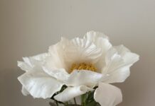 From the Mayor’s Office – “Florence”