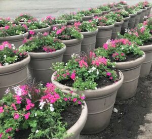 Spring Planting Event @ Memorial Park DPW Garage