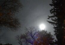 From the Mayor’s Office – Blue Moon