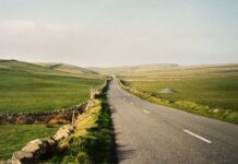 From the Mayor’s Office: Get your Green On!