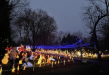 From the Mayor’s Office: A Joyful Connection