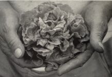 From the Mayor’s Office –Le Terroir