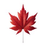 Fall Leaf Pickup