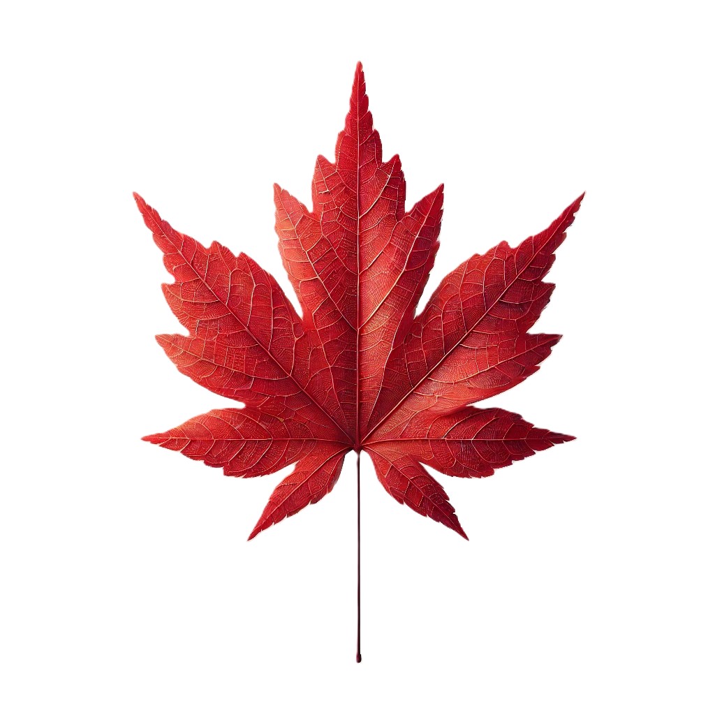 Leaf