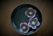 From the Mayor’s Office: Reorg 2023