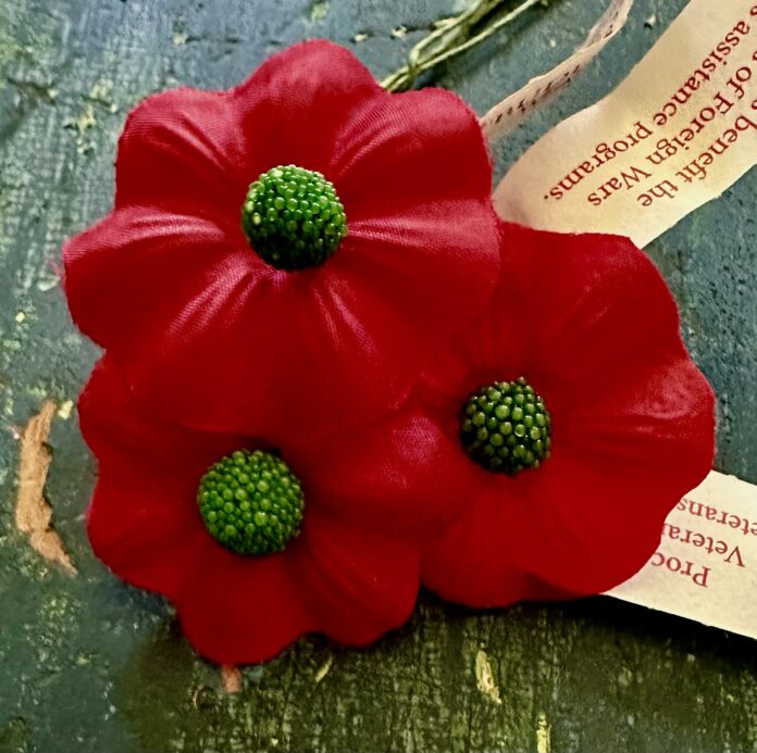 Poppies Flowers Memorial Day