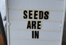 FROM THE MAYOR’S OFFICE: “Seeds are in!”