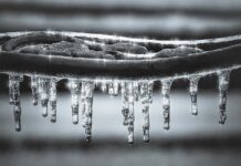 From the Village of Warwick Water Department; Prevent Frozen Pipes